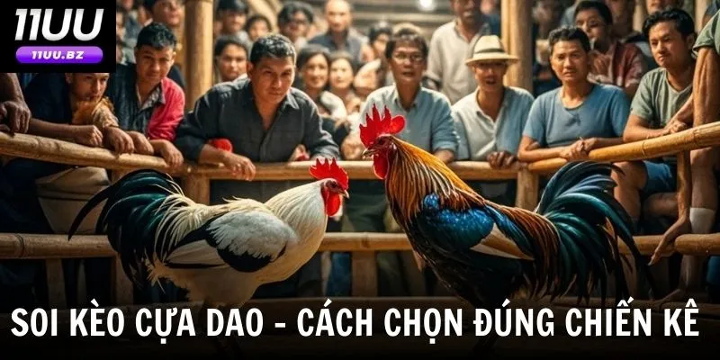 Nghệ thuật đọc kèo cực kỳ chuẩn xác